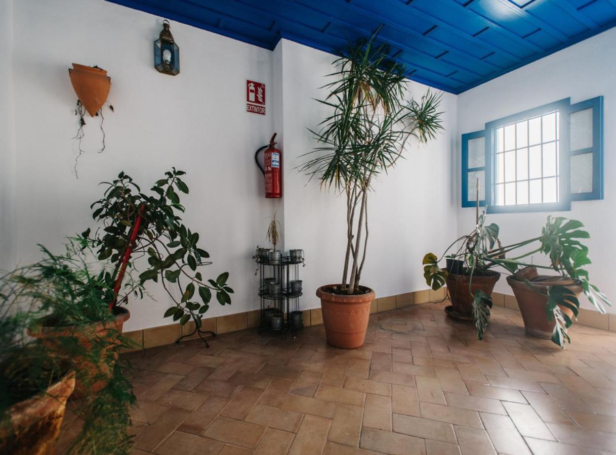 Rentalsevilla Vidrio I Sevilla
